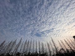 -前小桔亲子创意农场·草莓采摘·露营烧烤