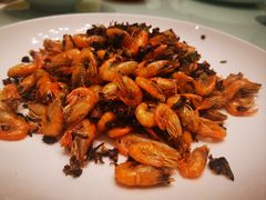 -新吉士·上海菜(浦东LCM置汇旭辉店)