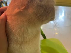 -平行世界·猫咖(首经贸店)