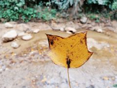 -白鹿洞书院