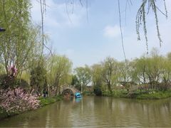 南汇桃花村-南汇桃花村