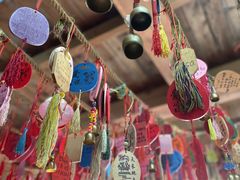 -西双版纳原始森林公园