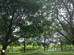-白塘生态植物园