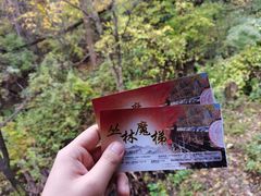 -香炉山国家森林公园