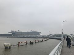 -吴淞口国际邮轮码头-停车场