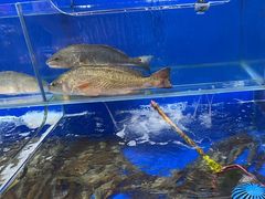 -船梆煮•蒸汽海鲜·生腌干蒸(五四广场店)