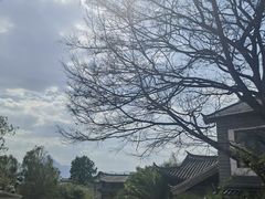 -阿婆情腊排骨火锅(金虹路店)