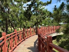 -养马岛旅游度假区