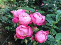 -人民公园(罗湖区)