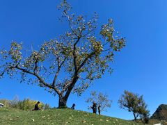 -北京金海湖景区