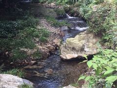 -夏霖九天银瀑风景区