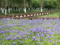 -汉长安城未央宫国家考古遗址公园