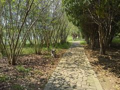 -苏州太湖国家湿地公园