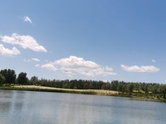 -东郊湿地公园