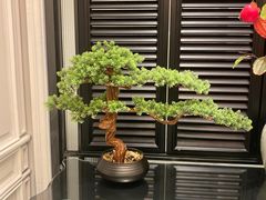 -城南往事(滨江世茂店)