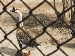 -森林公园(尖草坪区)