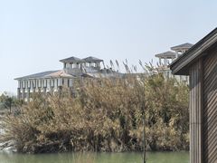 -泗洪洪泽湖湿地景区