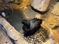 -酷嗒动物文化乐园(cutezoo西溪乐天城店)