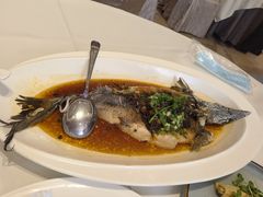 豆豉蒸鲟龙鱼-万龙洲海鲜(大兴绿地缤纷城店)