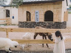 -HERRE·FARM 赫尔露营农场·团建聚会包场