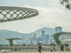 -星光大道