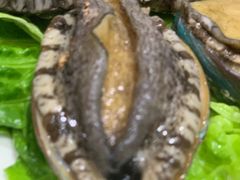 鲜活小鲍鱼-金龙·打边炉(武进路店)