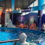 武汉必打卡旅游地标|极地海洋主题公园