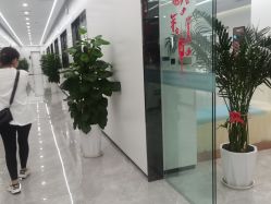 点击看大图 -悟空祛痘