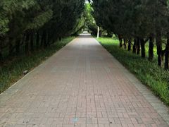 -洛阳市隋唐城遗址植物园