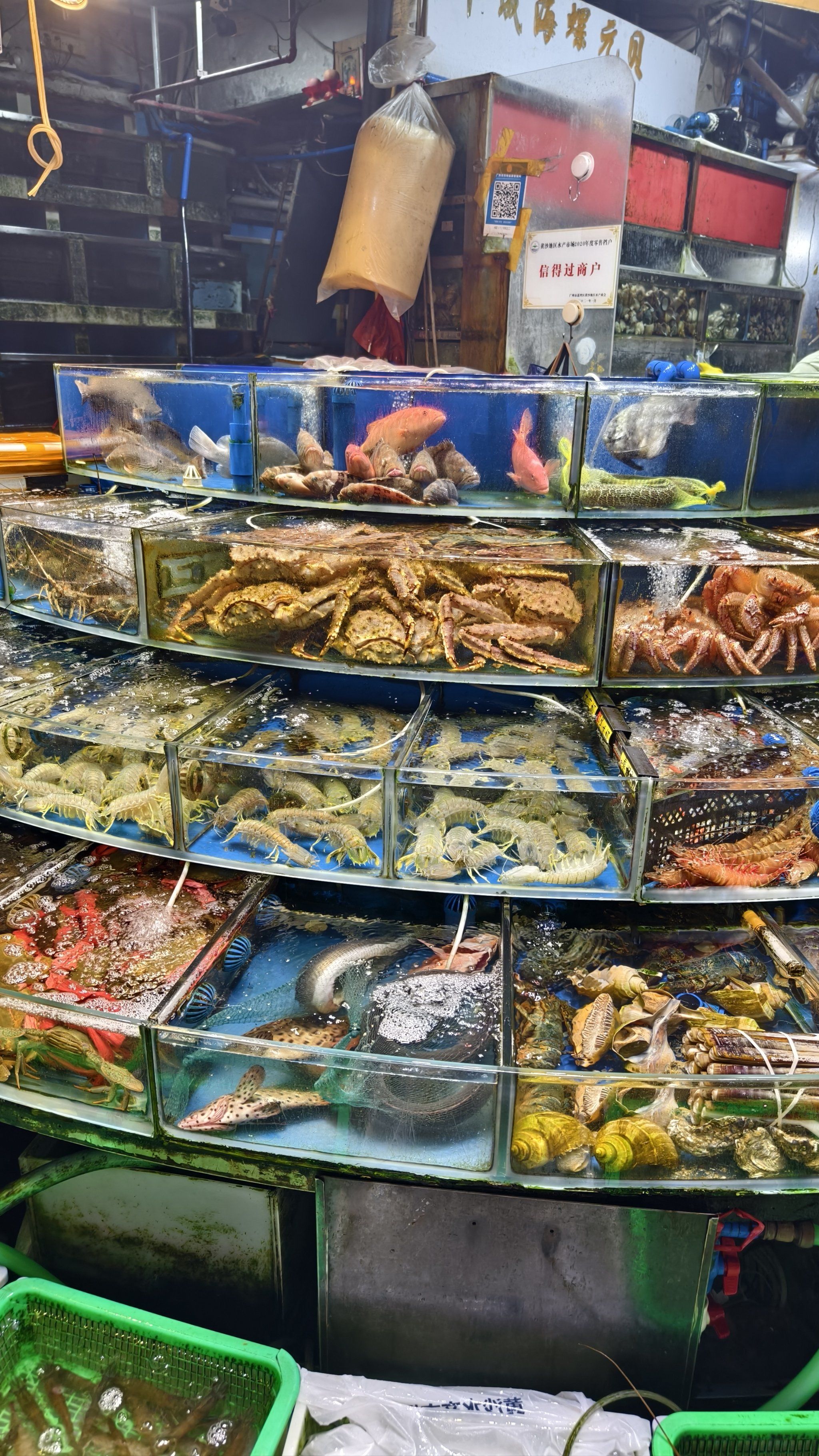 水产市场#吃海鲜我们是认真的#海鲜批发市场