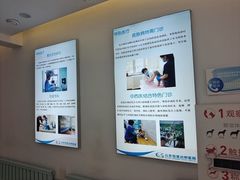 -北京观赏动物医院·24小时大型综合·猫专科·异宠专科