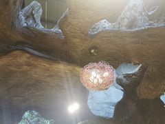 -世外桃源农庄·德清土菜(兴康南路店)