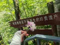 -峡谷浮石林景区