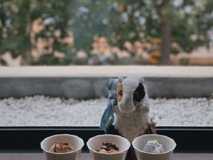 自制冰淇淋-Vanilla Specialty Coffee(八大关店)