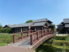 -西山漾湿地公园