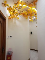 -芳朵美容养生SPA