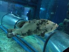 -福州罗源湾海洋世界旅游区