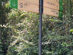 -日照海滨国家森林公园