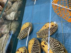 -达叔香味海鲜(海棠68环球美食街店)