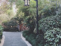 -深业半汤御泉庄温泉