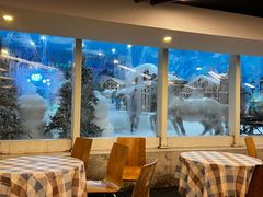 -世界之窗阿尔卑斯冰雪世界