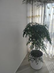 -HEYAN荷妍专业脱毛连锁机构