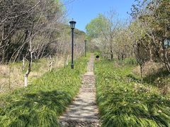 -杭州半山国家森林公园