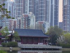 -堤角公园