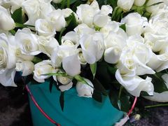 -循礼门鲜花花市(武汉循礼门店)