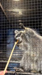 -酷嗒动物文化乐园(cutezoo西溪乐天城店)