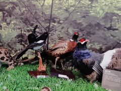 -房山世界地质公园博物馆