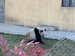 -西安秦岭野生动物园