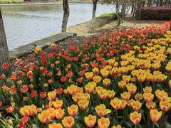 -上海鲜花港