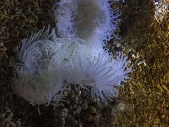 -沙沙哗啦海洋馆(华宇百花谷店)